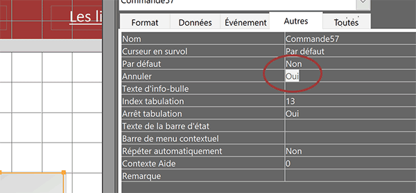 Associer par défaut un bouton de formulaire Access à la touche Echap ou à la touche Entrée du clavier