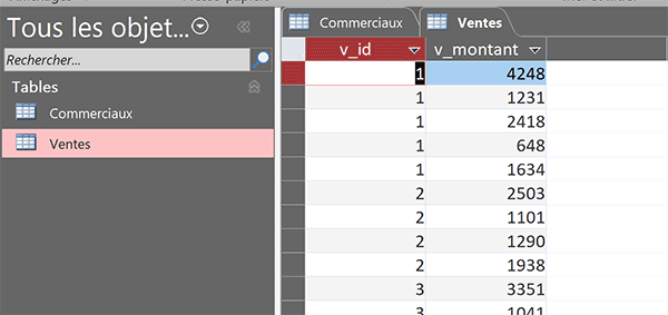 Table Access des ventes et chiffres d-affaires réalisés par les commerciaux