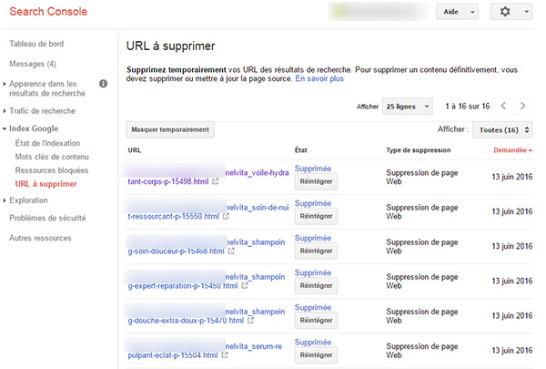 URL à supprimer depuis la Search Console Google