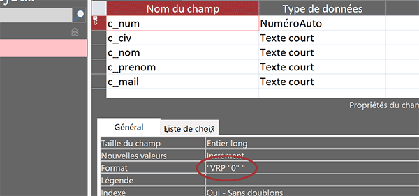 Format de champ Access de la clé primaire pour référence de texte auto-incrémentée