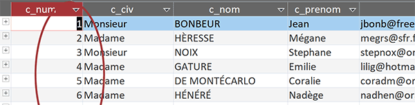 Table Access des commerciaux avec clé primaire auto-incrémentée