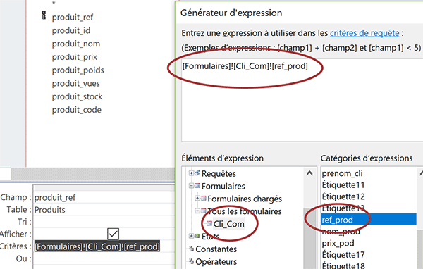 Expression Access pour critère dynamique de requête selon le choix de valeur dans la liste déroulante du formulaire