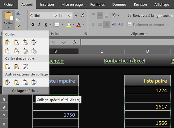 Coller des données Excel avec des préférences de réglage