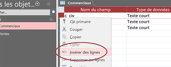 Créer un nouveau champ dans la table Access pour accueillir la nouvelle clé primaire regénérée et automatiquement incrémentée