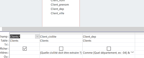 Expressions Access pour construire deux critères dynamiques paramétrés dans la requête