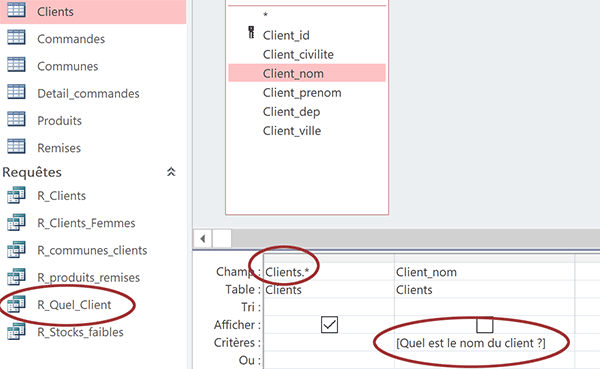 Requête Access paramétrée, critère à préciser sur champ au moment exécution