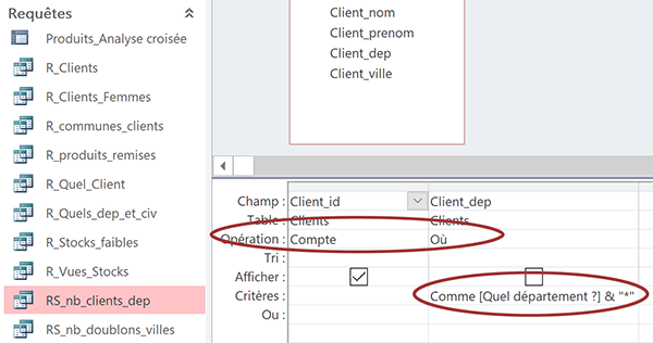 Requête de synthèse Access dynamique et paramétrée en mode conception