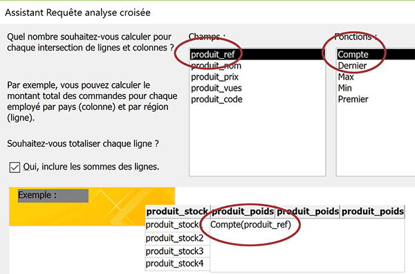 Définir opération de synthèse sur les champs recoupés avec assistant requête analyse croisée Access