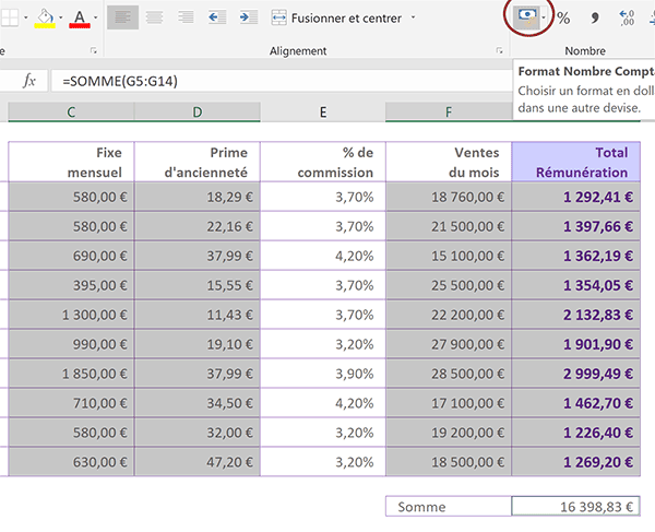 Afficher tous les salaires et totaux au format monétaire Euro dans tableau Excel