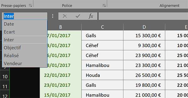 Noms des colonnes du tableau Excel à filtrer en fonction des titres de champs