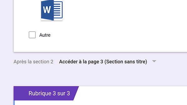 Saut de section page suivante pour prochaine question du formulaire en ligne