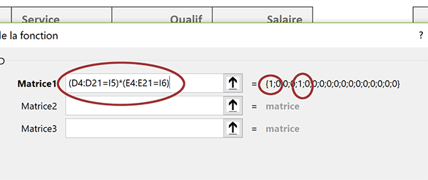 Indicateurs numériques dans assistant fonction SommeProd pour repérer les enregistrements concordants avec les critères recoupés sur les matrices