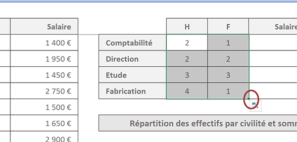 Statistiques sur répartion des employés par service et genre par calcul Excel