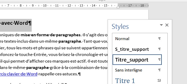 Volet de visualisation des styles Word