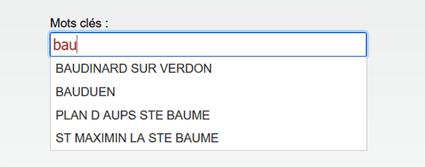 Suggestions intuitives au fil de la saisie en JQuery et Javascript