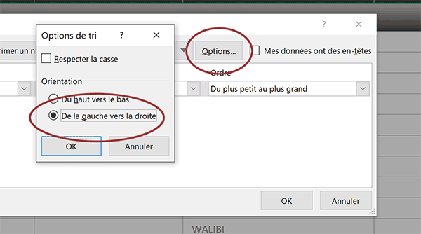 Supprimer les colonnes vides dans un tableau Excel grâce à un tri horizontal des données