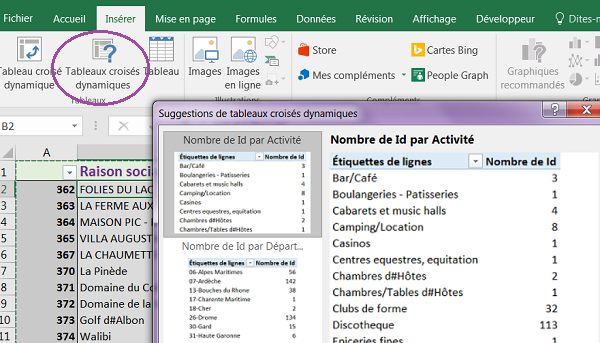 Propositions automatiques de tableaux croisés dynamiques selon nature de la source de données