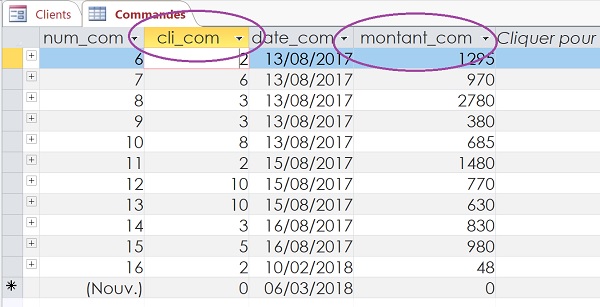 Table Access des montants de commandes à sommer selon client par requête SQL