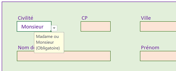 Formulaire Excel avec guides, contrôles de saisie et couleur arrière-plan en cas de défaut