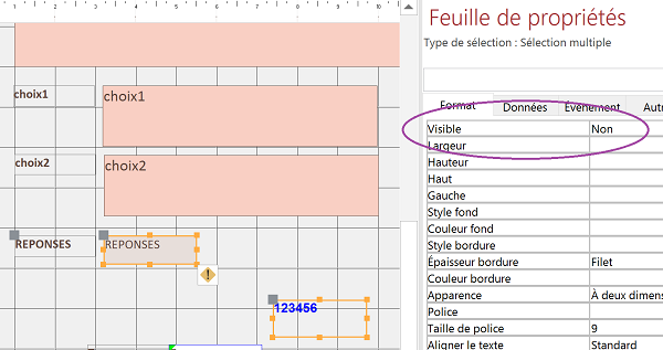 Rendre invisible contrôles de formulaire Access pour informations confidentielles par VBA