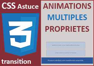Animations sur de nombreuses propriétés avec les styles CSS