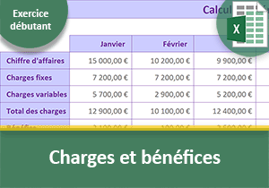 Charges et bénéfices, Exercice Excel débutant