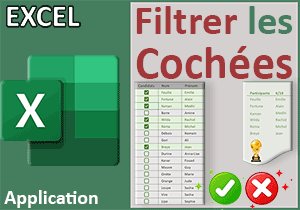 Cocher des cases Excel pour résumer les données