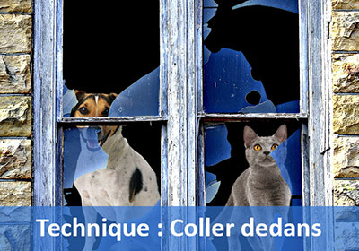 Coller une image dans une sélection avec Photoshop