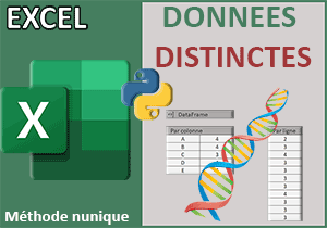 Compter les valeurs distinctes par formule Python dans Excel
