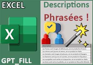 Descriptions phrasées avec une fonction GPT dans Excel