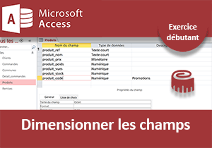 Dimensionner les champs de tables, exercice Access