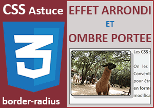 Effet CSS d arrondi et ombre portée sur une image