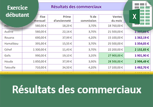 Exercice Excel sur les résultats commerciaux