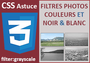 Filtre niveaux de gris sur des photos avec les styles Css