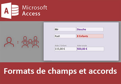 Formater les champs Access en respectant les accords