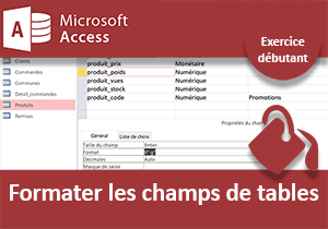 Formater les champs de tables, exercice Access