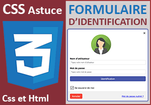 Formulaire d identification Web avec les styles Css