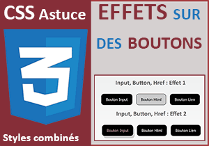 Les effets et types de boutons avec les styles CSS