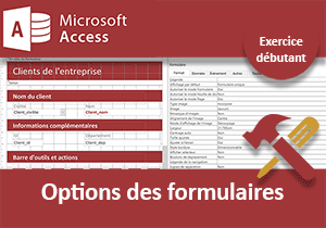 Personnaliser les formulaires, exercice Access