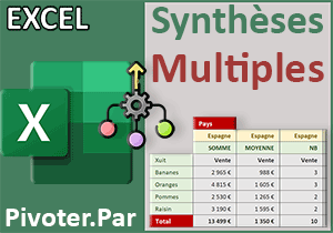 Plusieurs synthèses sur une même colonne avec Excel