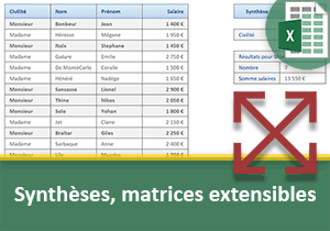 Synthèses dynamiques Excel sur des matrices extensibles